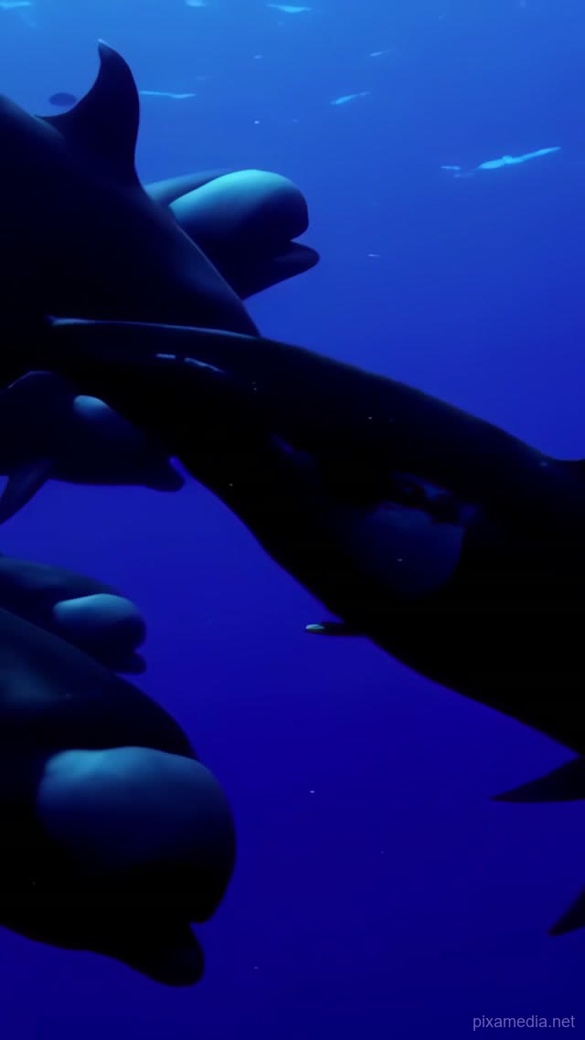 Abyssal Giants' Procession - Ocean Deep AI stock